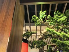 -老阿爸鲜鱼土菜(园区永旺店)
