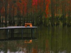 -白鹭湾湿地公园