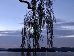 -浙江西子宾馆·瑶园咖啡厅