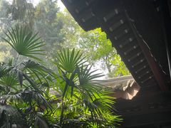 -成都武侯祠博物馆