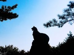 -帽儿山国家森林公园