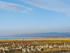 -青海湖国家重点风景名胜区