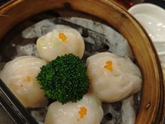 -金龙寨(龙城路店)