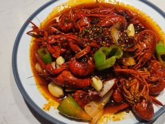 -杨氏青龙虾·羊蝎子(托乐嘉店)