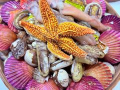 -船梆煮•蒸汽海鲜·炉火烤肉(五四广场店)