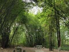 -桤木河湿地公园