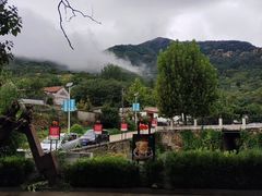 -鲁菜根·泰山菜(泰山店)
