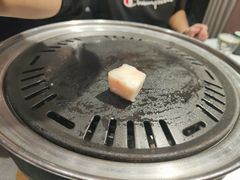 -卜奎烤右