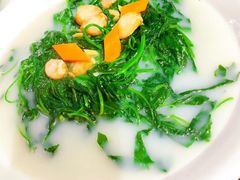 -有腥气私房菜·寻味顺德