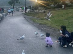-尼亚加拉瀑布州立公园