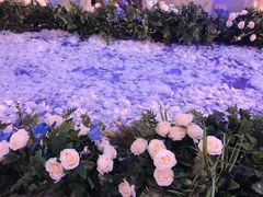 -圣雷克大酒店