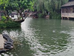 -乌镇西栅景区