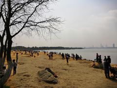-瑶湖郊野森林公园
