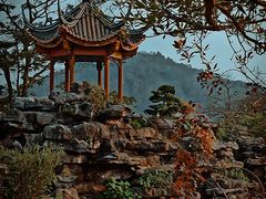 -顺峰山公园