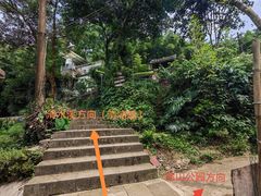 -南山植物园