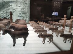 -汉景帝阳陵博物院
