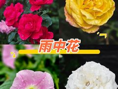 -朝阳体育中心