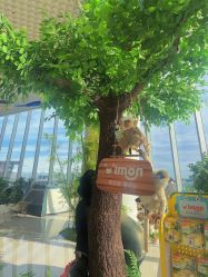 -IMON·HANSA潮玩玩偶毛绒玩具(通州万象汇店)