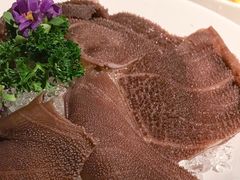 海底捞毛肚-海底捞火锅(河东万达广场店)