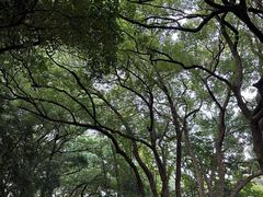 -杭州植物园
