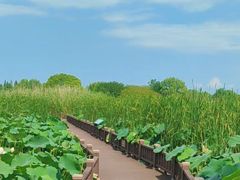 -梁鸿国家湿地公园