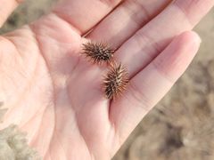 -鄱阳湖国家湿地公园