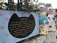 -猫咪博物馆(顶澳仔猫街店)