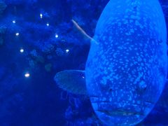 -成都浩海立方海洋公园