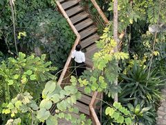 -郑州植物园