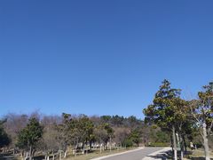 -浮山香苑