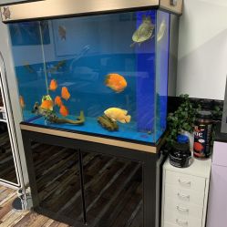 -雕哥的纹身店A3 TATTOO&纹身培训