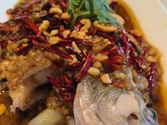 -杨氏青龙虾·羊蝎子(金盛路总店)