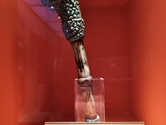 -迪庆藏族自治州博物馆