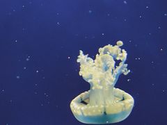 -台州海洋世界
