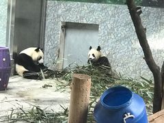 -西安秦岭野生动物园