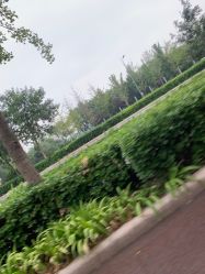 -HEYAN长风荷妍专业脱毛美肤
