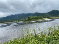 -大九湖
