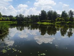-东郊湿地公园
