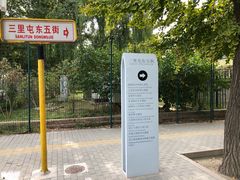 -三里屯东五街银杏大道
