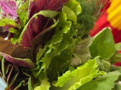 -山菌美食苑(振兴路店)