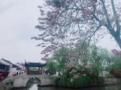 -张家港凤凰山景区恬庄古街