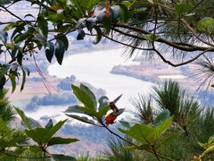 -敬亭山风景名胜区
