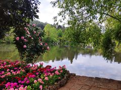 -黑龙潭公园