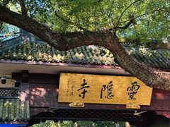 -灵隐飞来峰景区