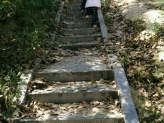 -商丘市人民公园