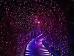 -福建鲤鱼洲酒店