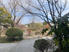 -春色如许·茶食餐厅(桃李春风店)