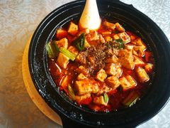 -陈麻婆豆腐总店
