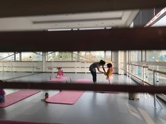 -中央芭蕾舞团·中芭艺蕾(酒仙桥明星校区)
