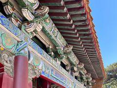 -北陵公园